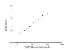 Novus Biologicals&trade;&nbsp;Rat Glycogen Phosphorylase BB/GPBB ELISA Kit (Colorimetric)